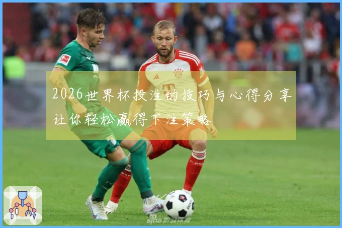 2026世界杯投注的技巧与心得分享让你轻松赢得下注策略