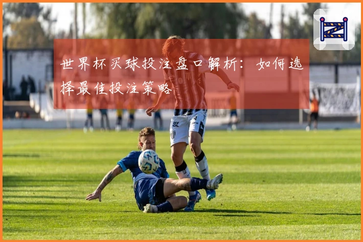 世界杯买球投注盘口解析：如何选择最佳投注策略