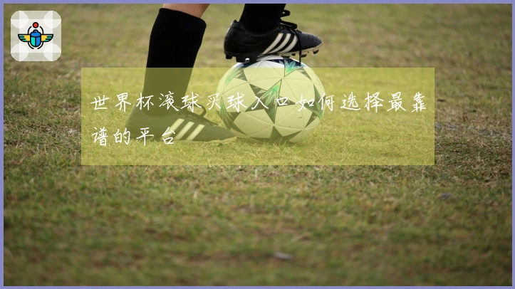 世界杯滚球买球入口如何选择最靠谱的平台