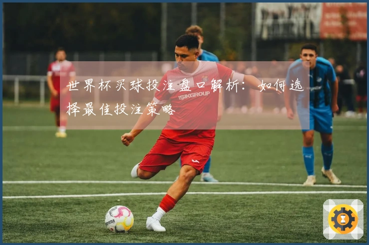 世界杯买球投注盘口解析：如何选择最佳投注策略