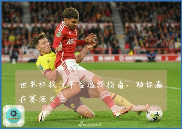 世界杯投注平台选择指南，助你赢在赛场之上