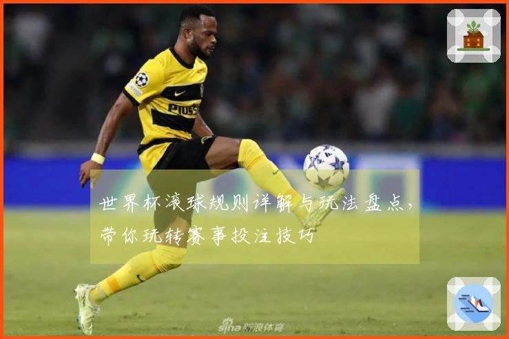 世界杯滚球规则详解与玩法盘点，带你玩转赛事投注技巧