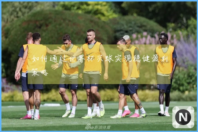 如何通过世界杯买球实现稳健盈利策略