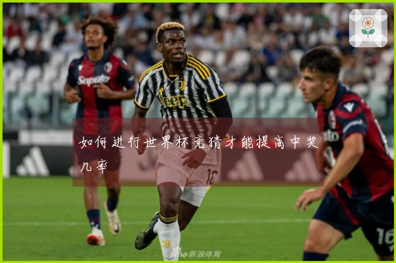如何进行世界杯竞猜才能提高中奖几率