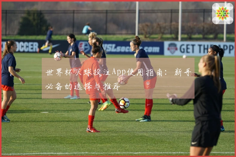 世界杯买球投注App使用指南：新手必备的选择与推荐