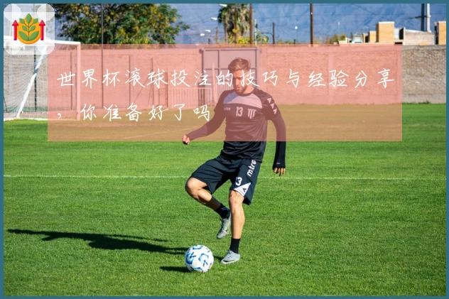 世界杯滚球投注的技巧与经验分享，你准备好了吗