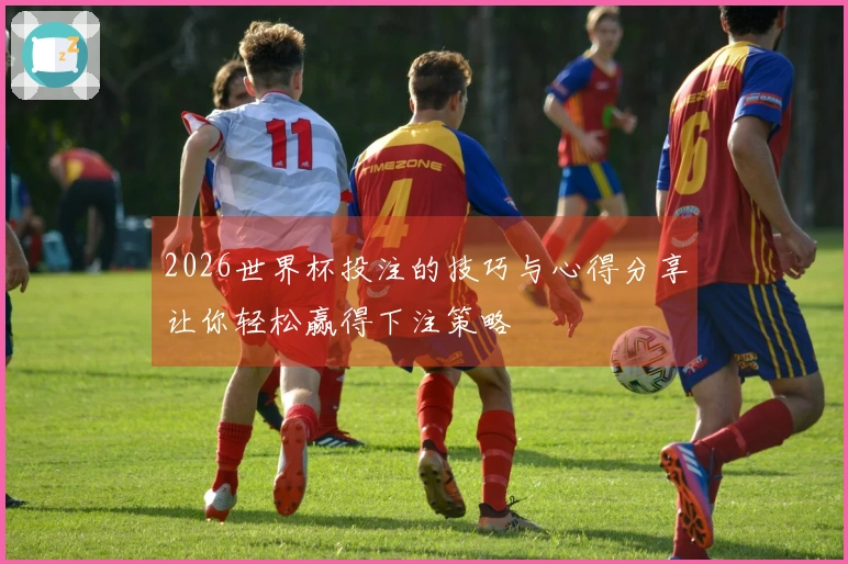2026世界杯投注的技巧与心得分享让你轻松赢得下注策略