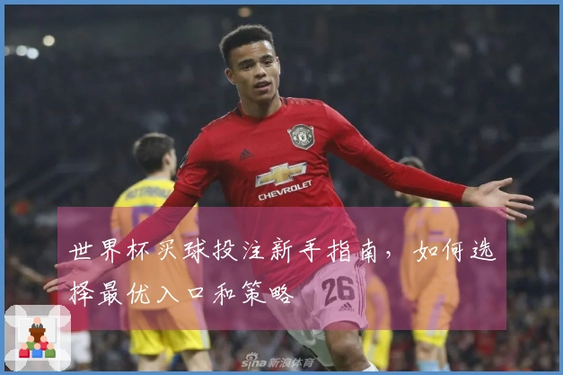 世界杯买球投注新手指南，如何选择最优入口和策略