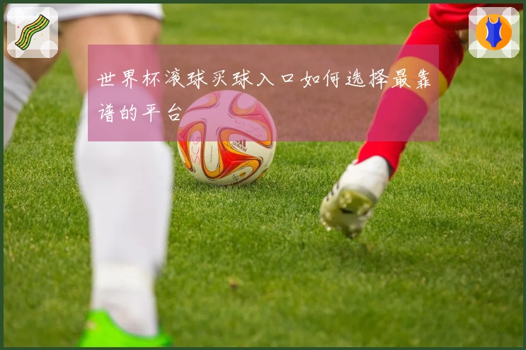 世界杯滚球买球入口如何选择最靠谱的平台