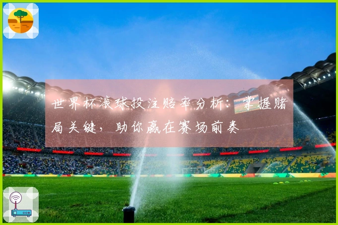 世界杯滚球投注赔率分析：掌握赌局关键，助你赢在赛场前奏
