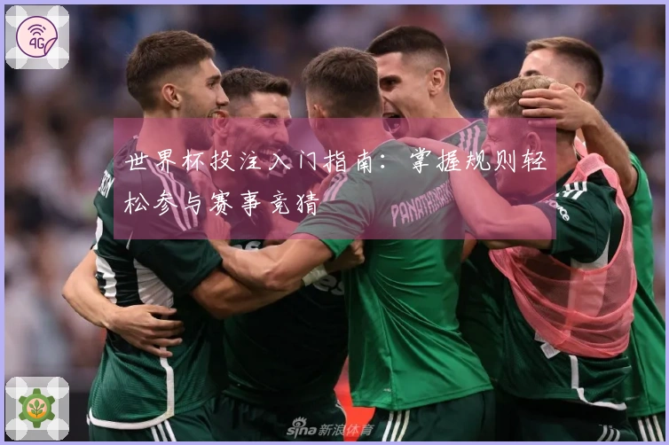 世界杯投注入门指南：掌握规则轻松参与赛事竞猜