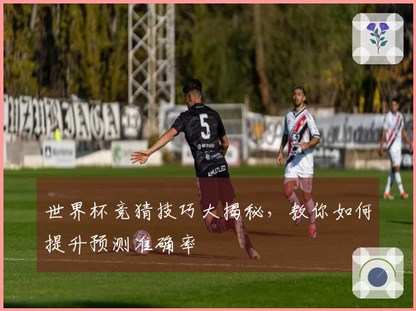 世界杯竞猜技巧大揭秘，教你如何提升预测准确率