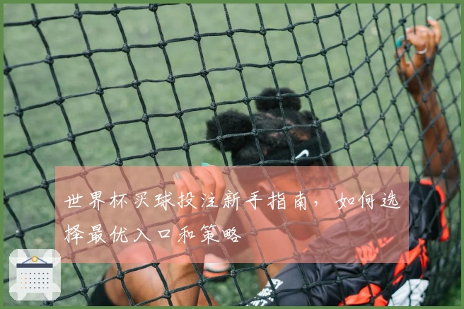 世界杯买球投注新手指南，如何选择最优入口和策略