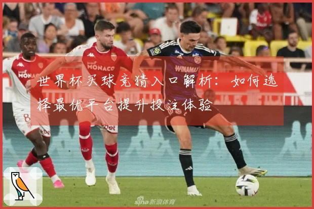世界杯买球竞猜入口解析：如何选择最优平台提升投注体验